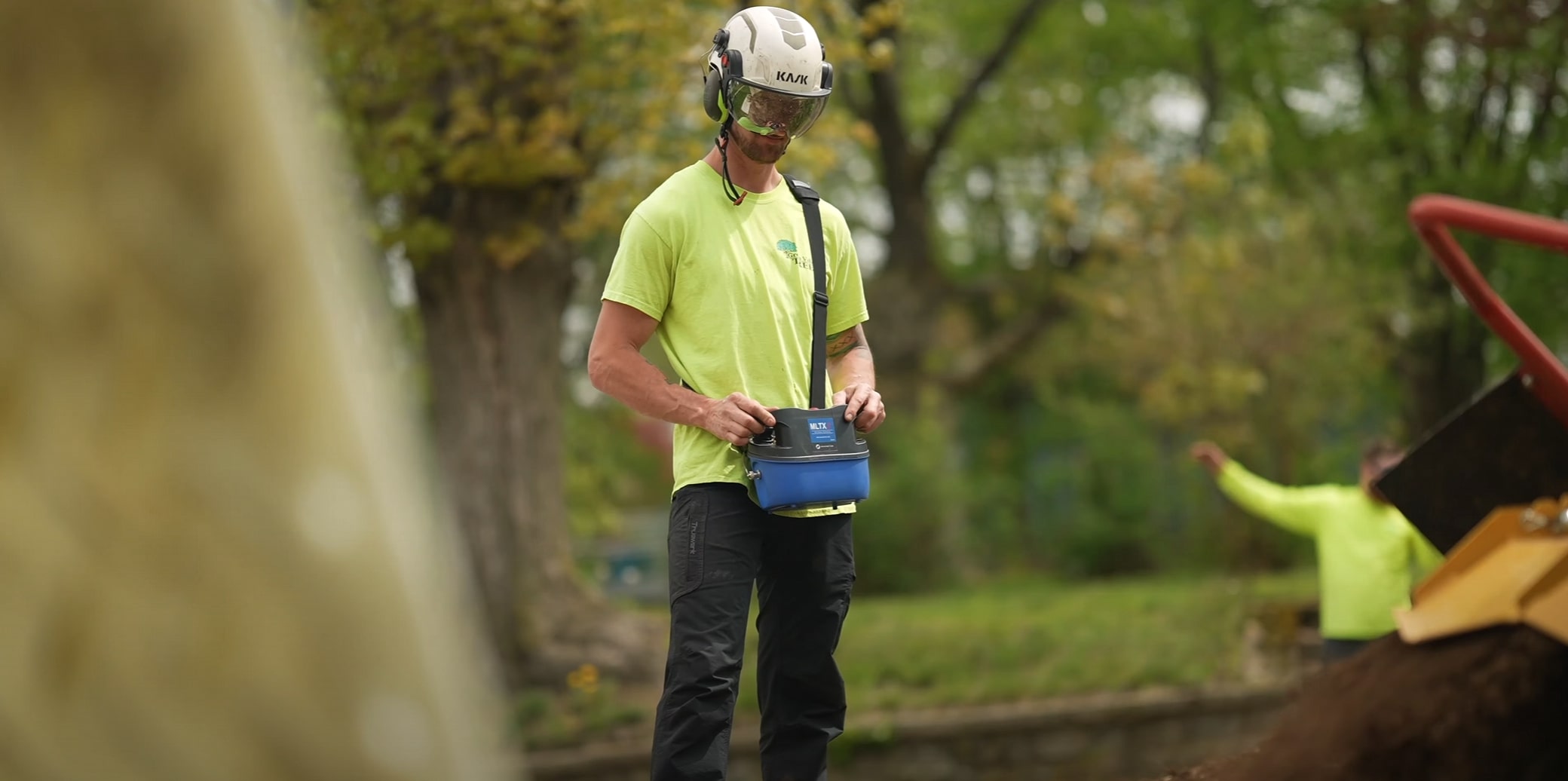 Certified arborist in safety gear performing tree service in Napa, CA